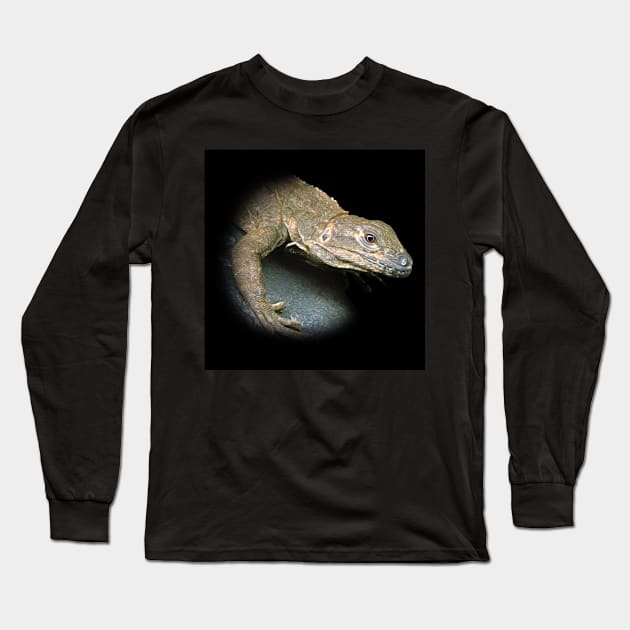 Iguana Long Sleeve T-Shirt by Guardi